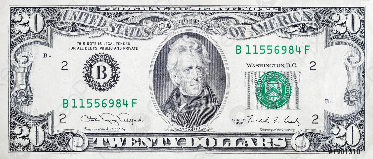 A United States twenty dollar bill — the book costs less than this